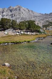 Peak 11825 looms above the lake [sat sep 1 14:34:51 mdt 2018]